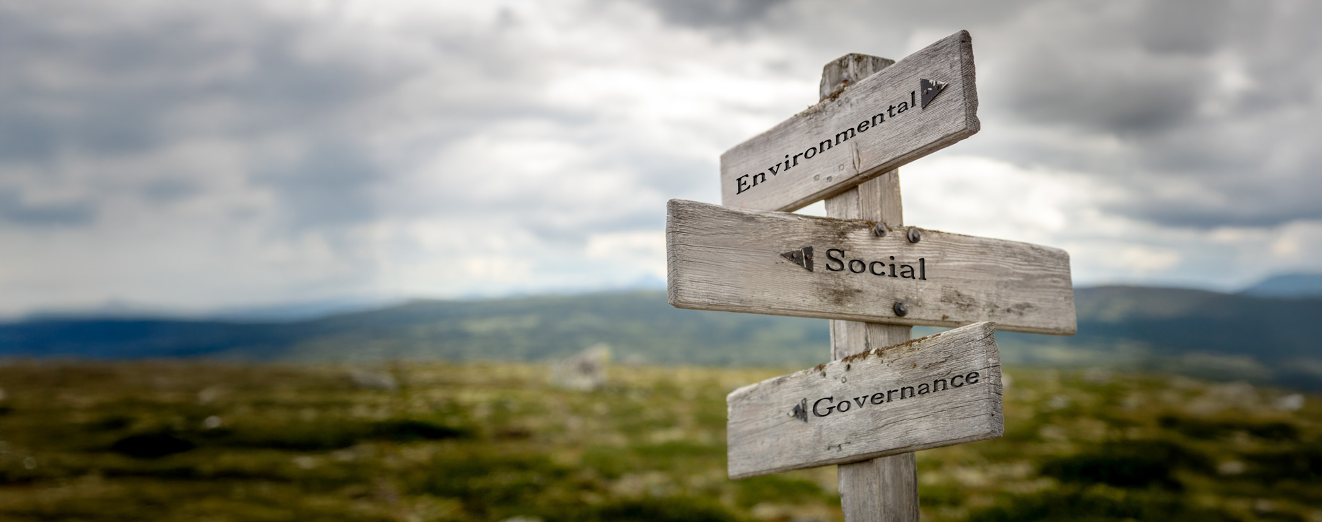 Is ESG being sidelined?