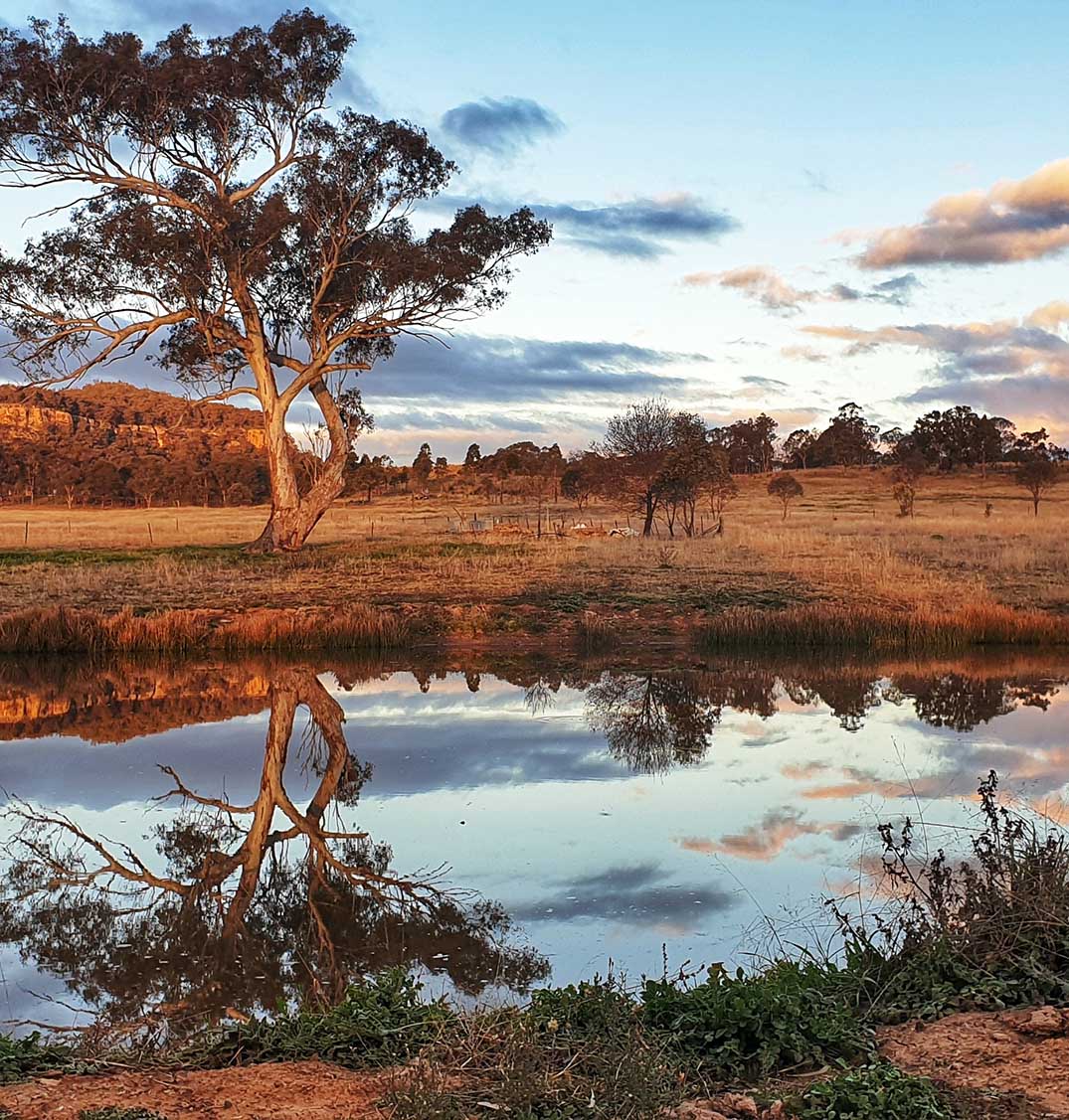 Environmental reforms just the beginning