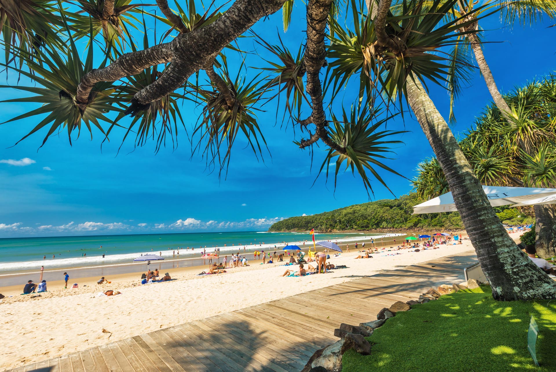 Noosa in November